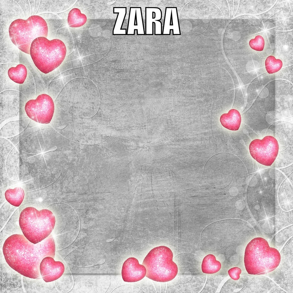 Zara brand